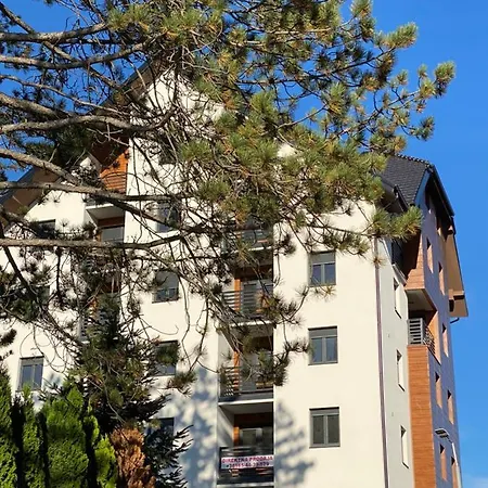 Vrhovi Zlatibora Златибор